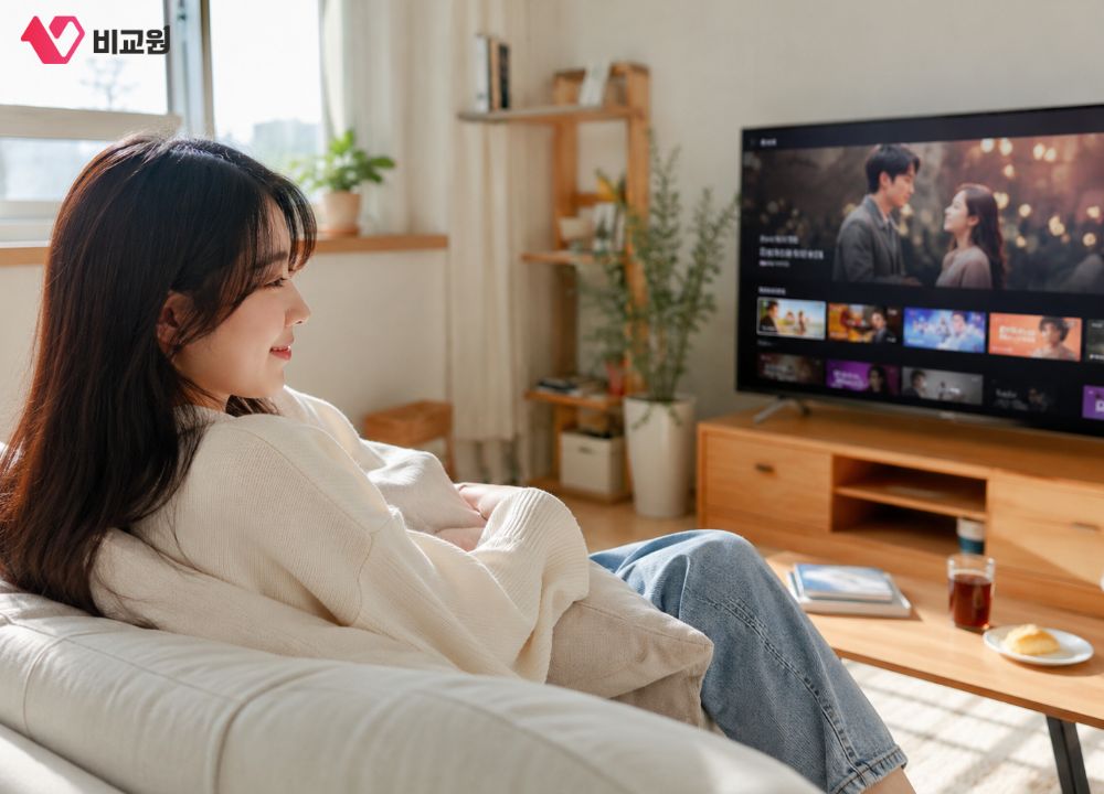 OTT를 TV로 시청하고 있는 모습