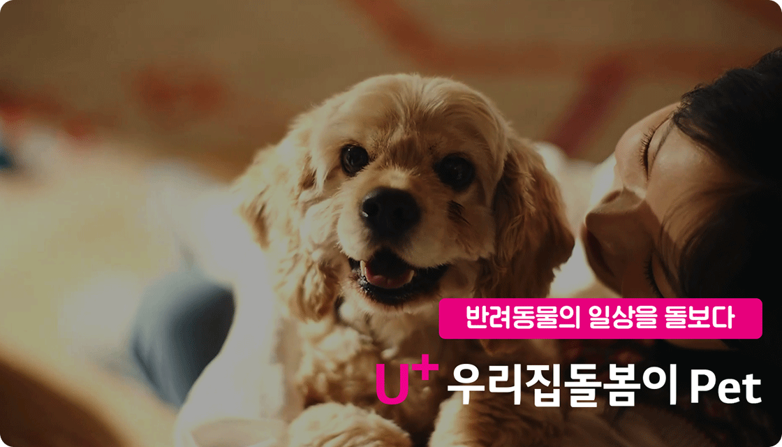 LG유플러스 우리집돌봄이 pet 소개 이미지